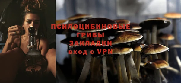 амф Алексеевка