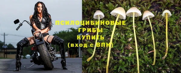 соль ск Алексин