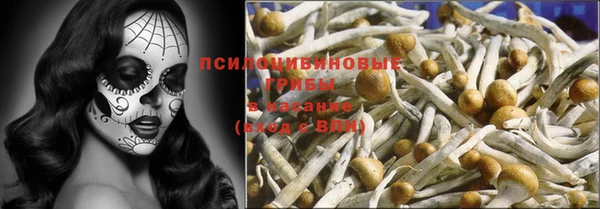 соль ск Алексин