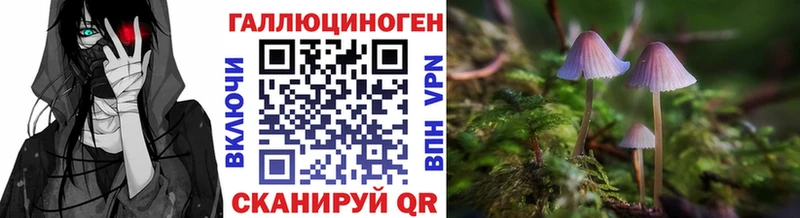 Галлюциногенные грибы Psilocybine cubensis  Купить  Анжеро-Судженск 