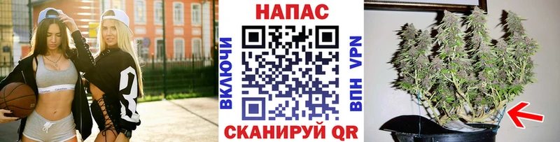 Бошки Шишки AK-47  Купить закладки  Анжеро-Судженск 